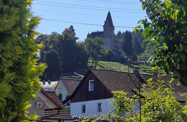 Relaxing under the castle
