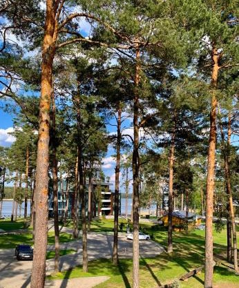 REMAR - Apartamenty nad Jeziorem Necko