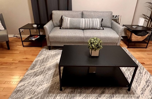Remodeled 3BD/2BA Home Next to MSU/Spartan Stadium
