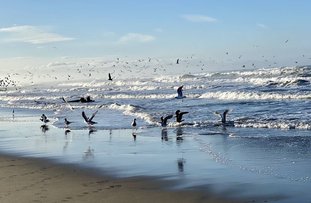 Ocean front Pajaro Dunes Between Santa Cruz and Monterey