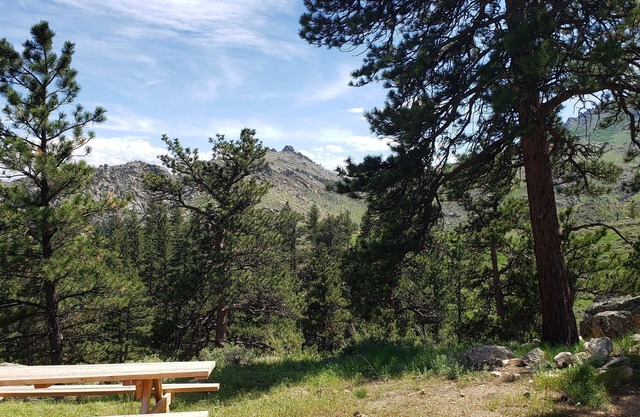 Remote relaxing and peaceful cabin to escape busy lifestyles