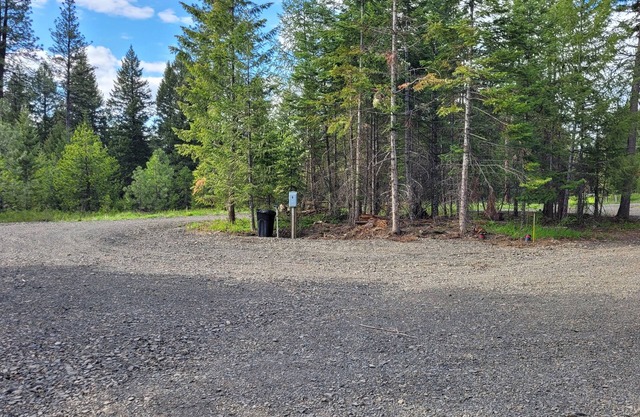 Remote RV site with full hookups on 16 wooded acres. Site B.
