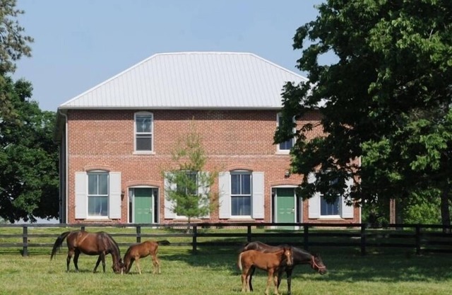 Rénovation de la gare de Thoroughbred Horse Farm