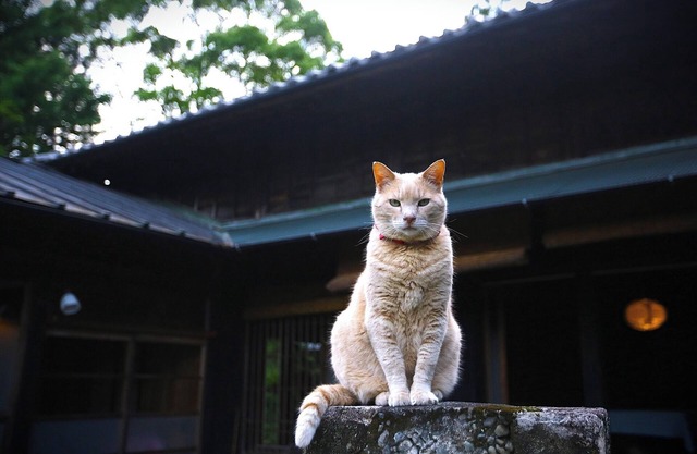 Rental 100yearold beautiful heathered house M - Whole building rental / Hamamatsu Shizuoka