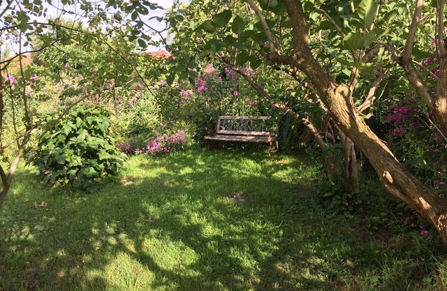 Location Bear Cave - avec son propre jardin - chiens bienvenus