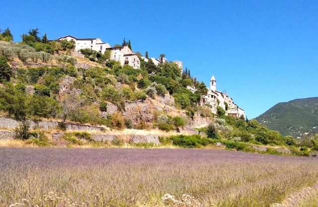 Location en provence au pied du Ventoux