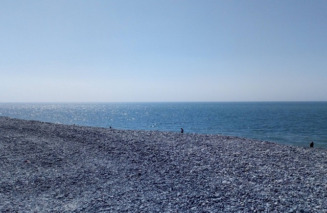 repos et tranquillité a 5 minute de la mer tout prés de la réserve naturel