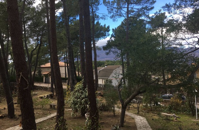 MAISON EN NATURE DÉTENTE