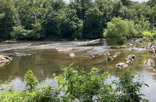 Restful River Retreat- Walk to River/Kayak-put in