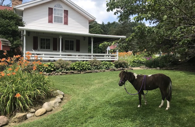 Ferme historique restaurée avec étang et animaux de ferme à Mohican State Park