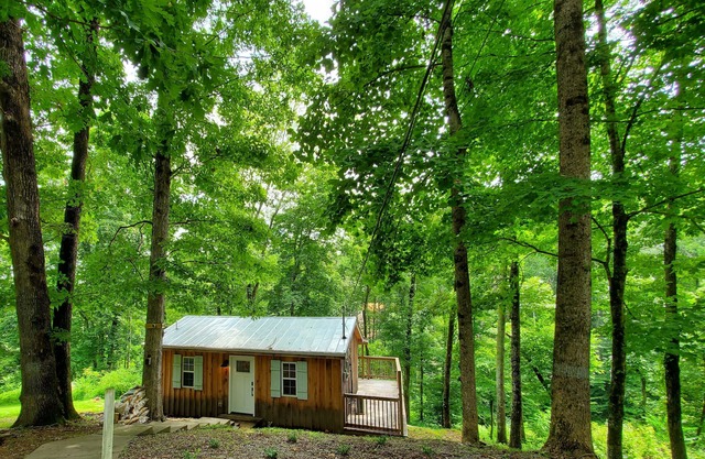 Retreat to Your Private Haven in the Trees