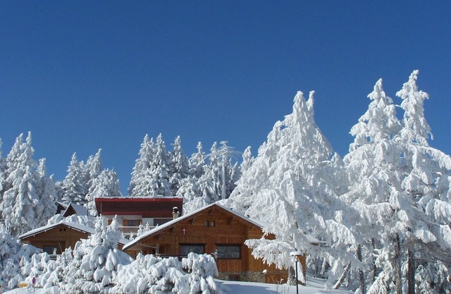 CHALET CHANT des OISEAUX de 110 m² avec la vue sur Mont-Blanc