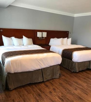 Rex Motel