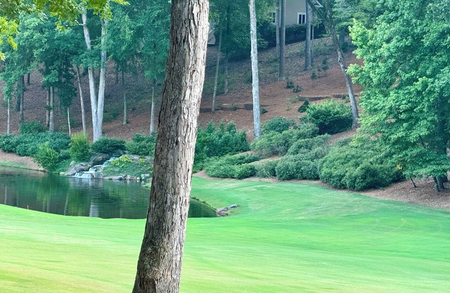 Reynolds Lake Oconee!Pet Friendly- Immaculate 2 Bed/Bath on Preserve Golf Course