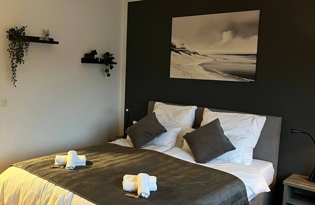 Rhine panorama suite with balcony