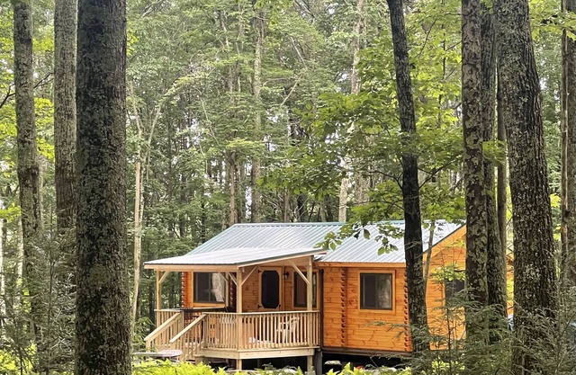 Ricketts Glen Fern View Cabin