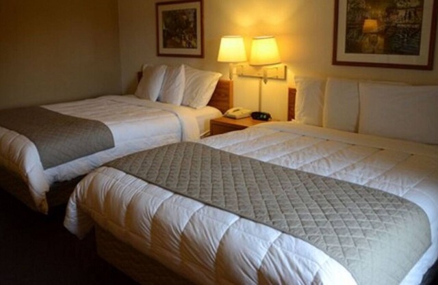 Right on Budget! 2 Budget-friendly Units, Free Breakfast, Near Marieke Gouda!