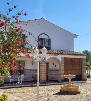 Riocorvo