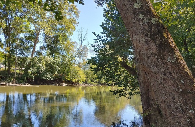 Mohican River Cottage on the River, Couples Retreat, Relax, Refresh & Recharge!