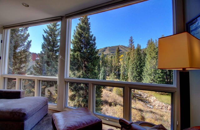 Condo Riverfront avec une vue imprenable sur les pistes de ski surplombant le fleuve Fraser!