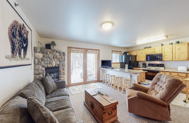 Riverfront condo with free wifi, fireplace, patio, & gas grill