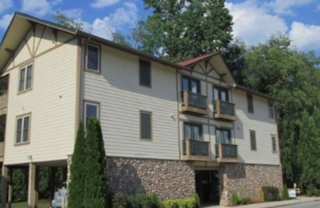 Riverfront / Easy Walk To Helen. Unité supérieure 1BR / IBA avec de belles vues sur la rivière