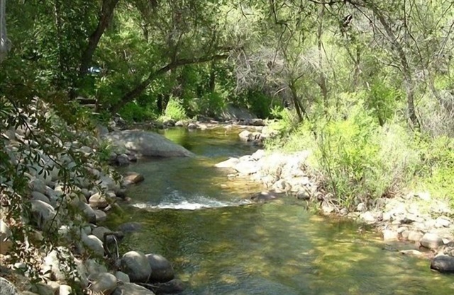 Accueil Riverfront avec grande terrasse sur South Fork de Kaweah River