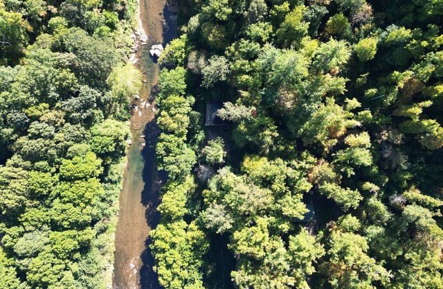 Riverfront in Burnsville near Asheville, Mt Mitchell, swim, fish, hike, ski