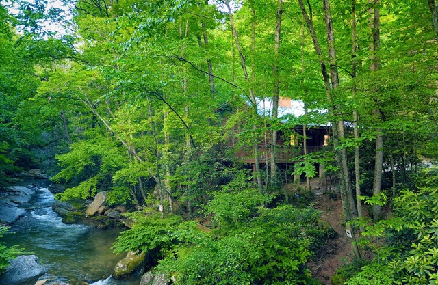 Cabane en rondins au bord de la rivière + cascade privée et vues panoramiques sur la nature
