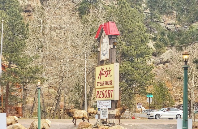 Riverfront Motel w/ Pool, Views 106