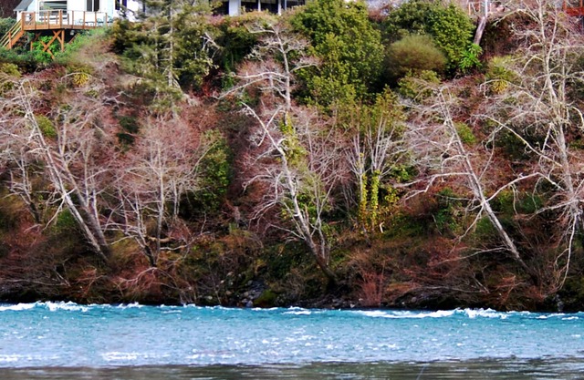 Retraite Riverfront Redwood