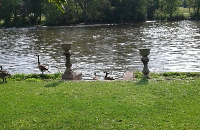 Riverfront rental with fun activities