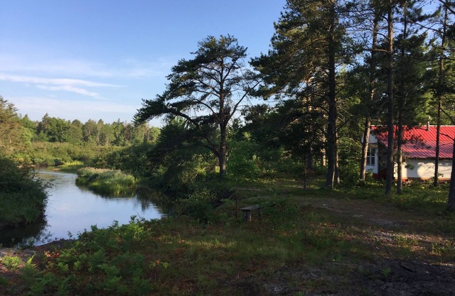 Rivers Edge / Off Grid / Bird Observation Summer Paradise