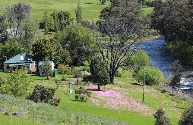Rivers Edge Pet Friendly Cottage Tumut