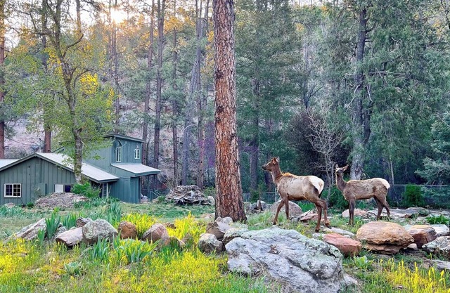 Riverside Hideaway - Luxury Cabin Escape w/ Views!