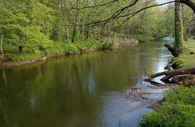 2 1/2 acres of riverside. Queen & Bunk bed-charcoal and firewood included
