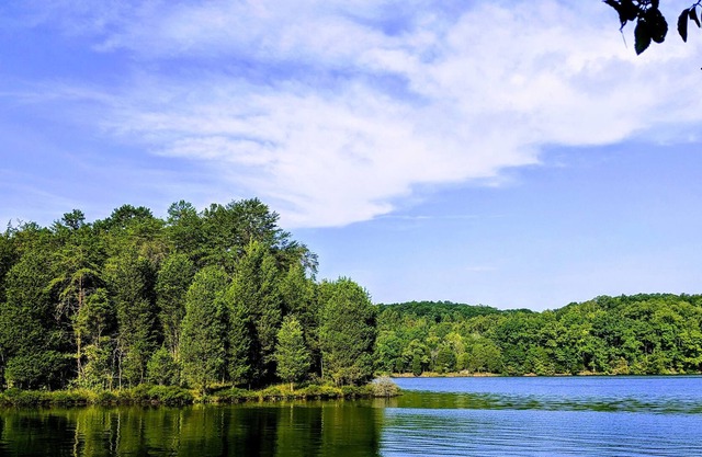 Riverten - Gated Executive Retreat on 16 acres - 200 per night