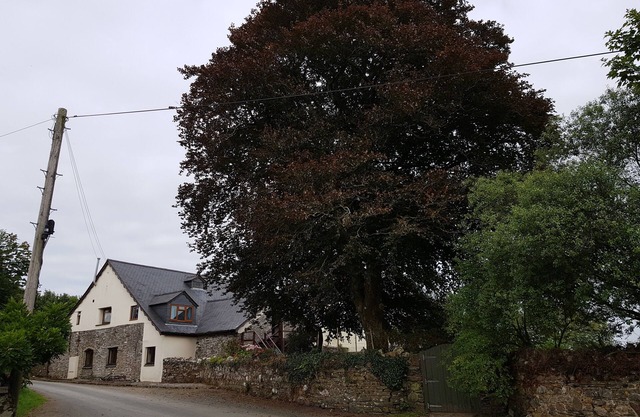 Robins Nest - Au pied de Bodmin Moor