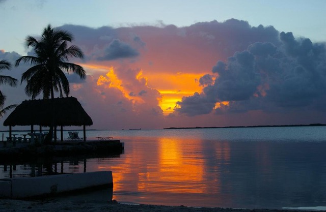 Rock Reef Resort