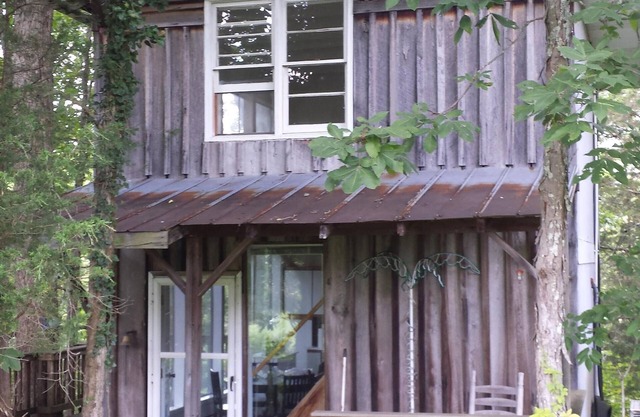 Cabine privée dans les grands arbres