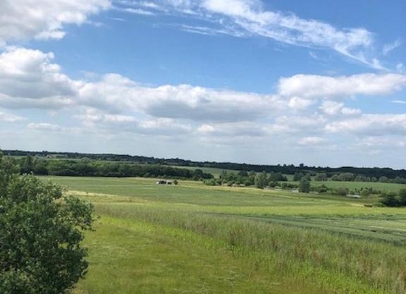 Rockinghams Farm