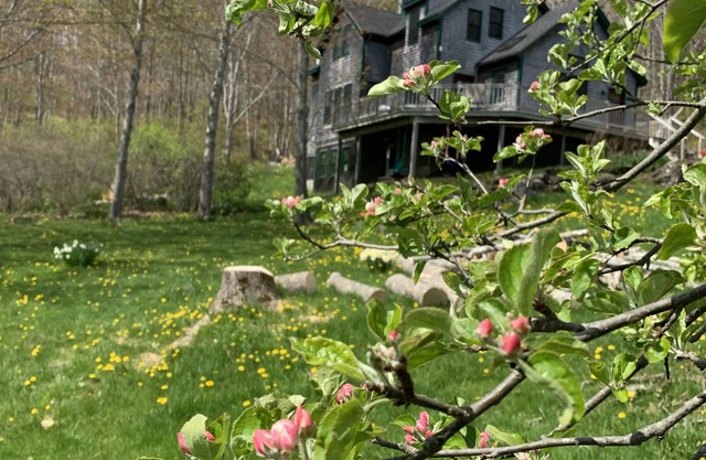 Rockport Eco Homestead