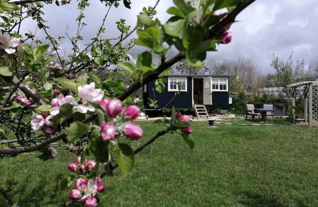Romantic Apple Tree Shepherd's Hut with optional hot tub and shared EV charger.