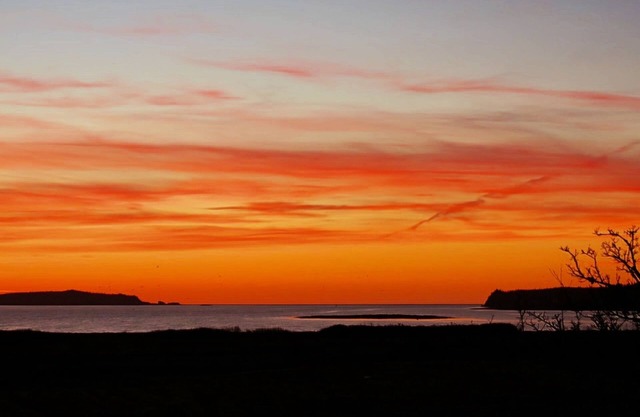 Spectacular Downeast Ocean Front Cottage ~ Pet Friendly~ Near Quoddy Head Park!