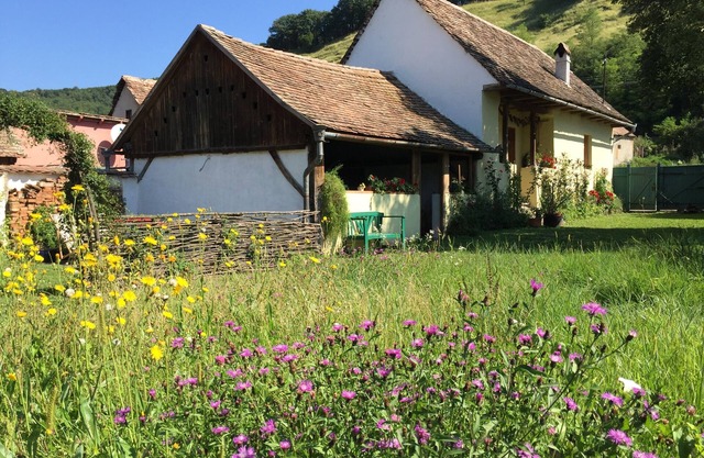 Ferme romantique en Transylvanie