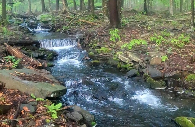 Romantic Pocono house - stream, lake, beach, pool, firepit