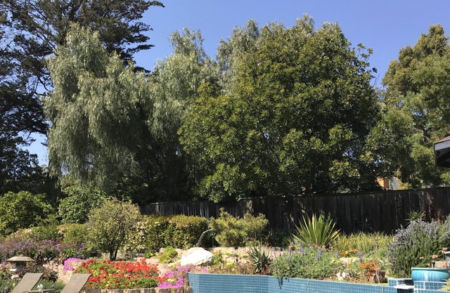 Romantic Poolside Spa Retreat-Near town