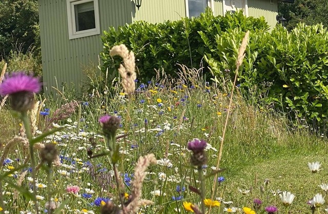 Romantic Shepherd hut with private hot tub over looking breathtaking views