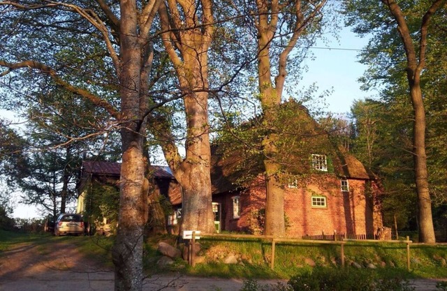 Maison de toit romantique au toit de chaume