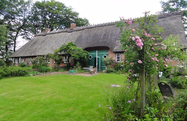 Maison de toit romantique au toit de chaume